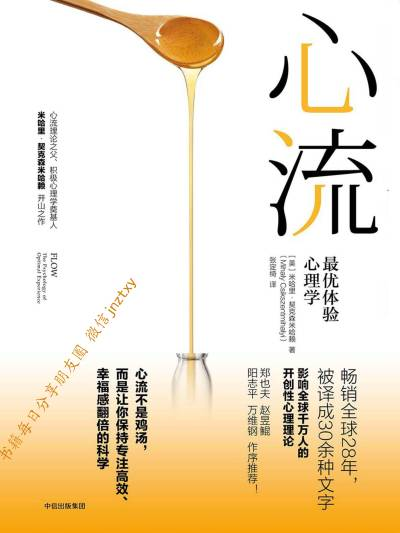 《心流——最优体验心理学》